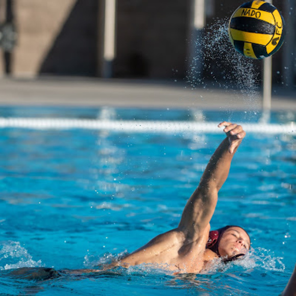 Meet your Posher, Gavin - Picture 1 of 1